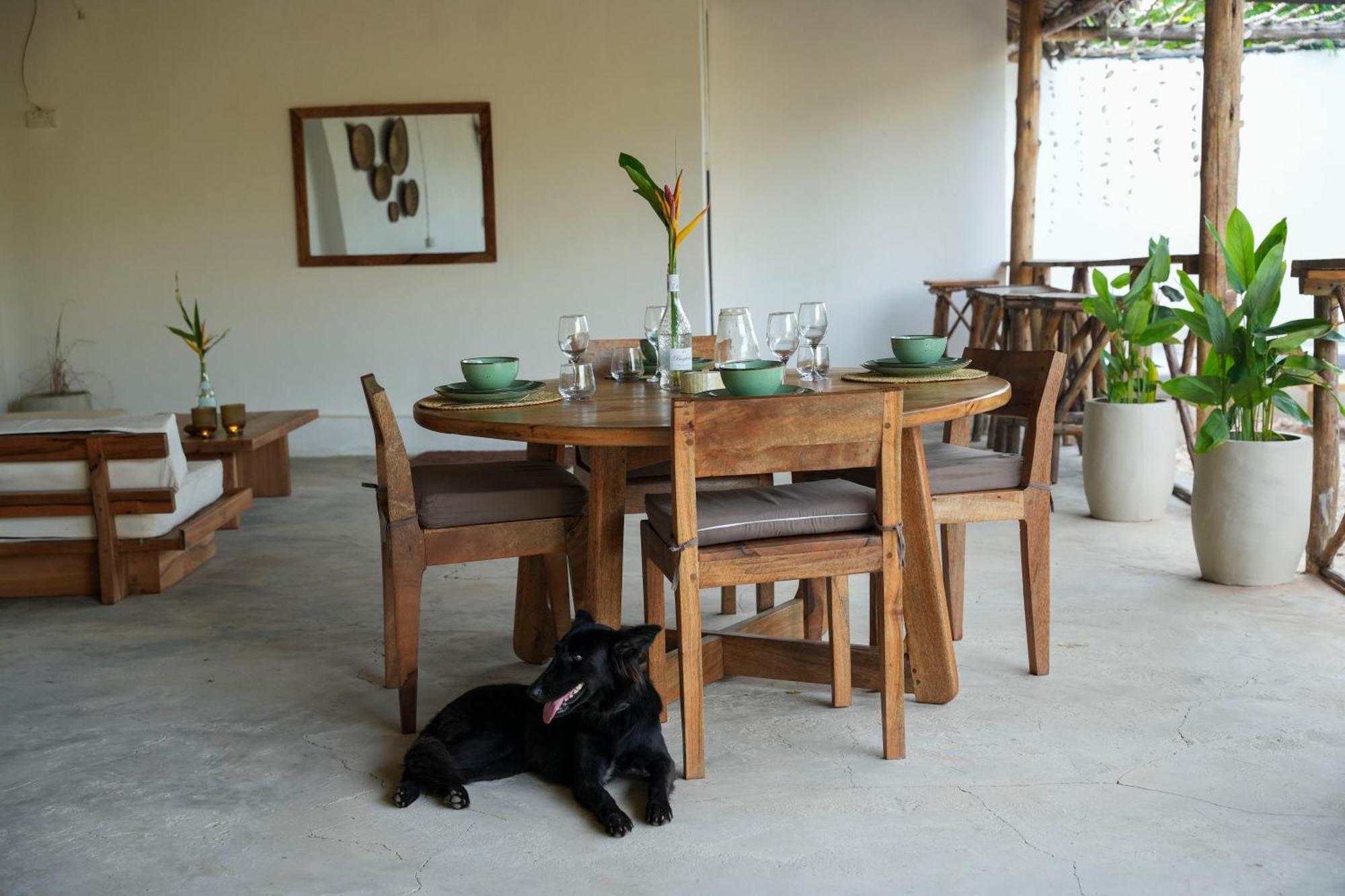 Kendwa Breeze Bungalows Ngoại thất bức ảnh