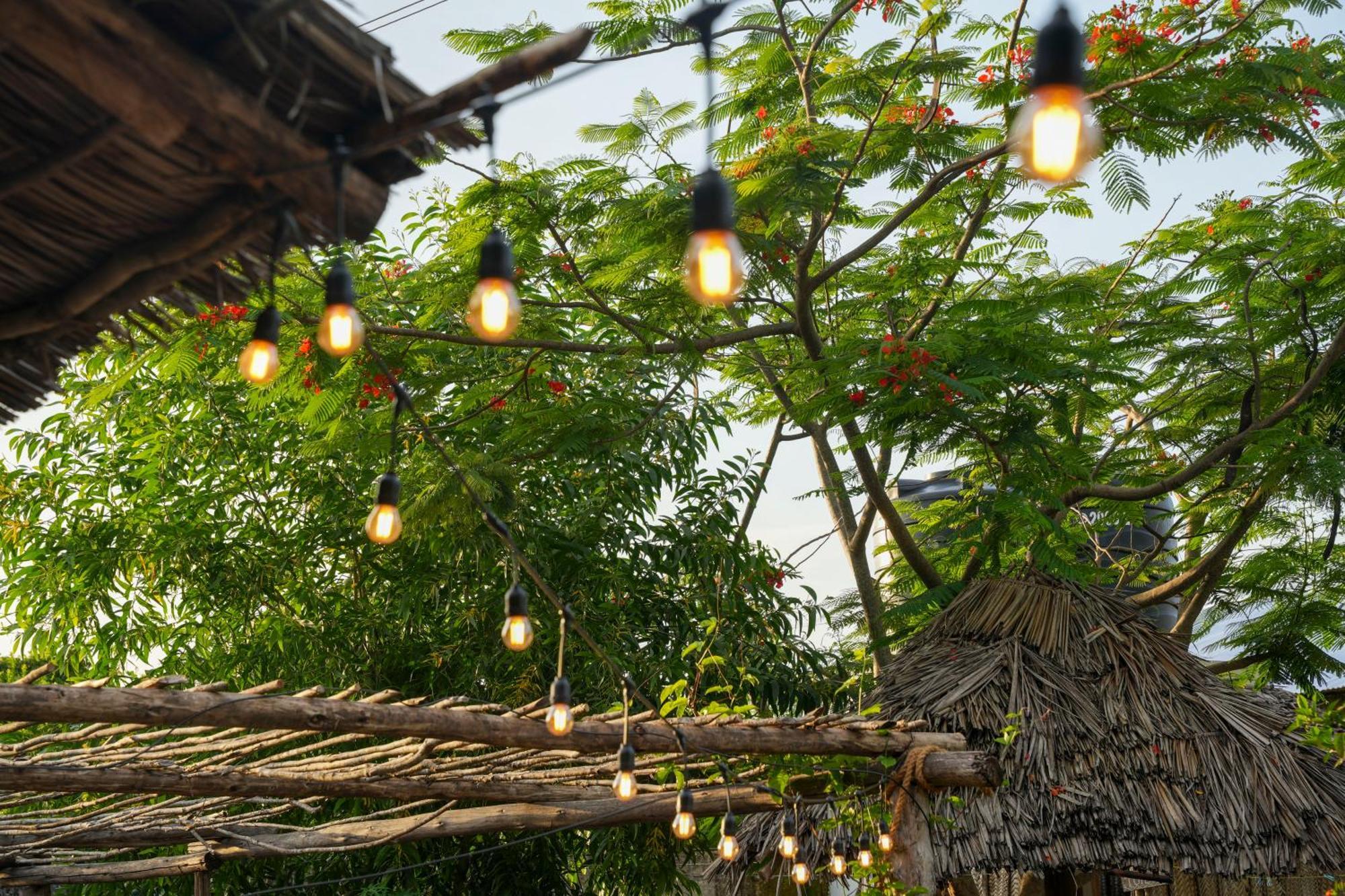 Kendwa Breeze Bungalows Ngoại thất bức ảnh